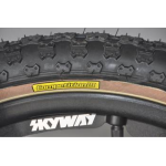 Skyway 2022 TA 20 Replica BMX Bike White/Black Wheel