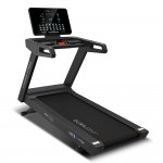 Lifespan Viper Treadmill (M4)