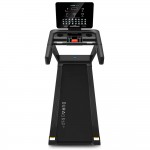 Lifespan Viper Treadmill (M4)