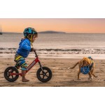 Strider 12" Sport Balance Bike Red