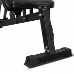 Lifespan Cortex BN-6 FID Bench