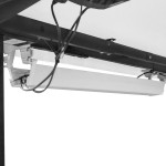 Lifespan WalkingPad M2 Treadmill with ErgoDesk Automatic White Standing Desk 1500mm + Cable Management Tray Lifespan WalkingPad M2 Treadmill with ErgoDesk Automatic White Standing Desk 1500mm + Cable Management Tray