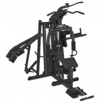 Lifespan CORTEX GS7 Multi Station Multi-Function Home Gym with Power Tower & Squat Press Lifespan CORTEX GS7 Multi Station Multi-Function Home Gym with Power Tower & Squat Press