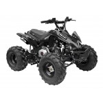 GMX 125cc The Beast Sports Quad Bike - Black