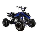 GMX 110cc The Beast Sports Quad Bike - Blue GMX 110cc The Beast Sports Quad Bike - Blue