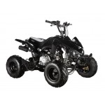 GMX 110cc The Beast Sports Quad Bike - Black GMX 110cc The Beast Sports Quad Bike - Black