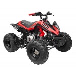 GMX 125cc The Beast Sports Quad Bike - Red GMX 125cc The Beast Sports Quad Bike - Red