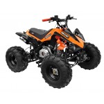GMX 125cc The Beast Sports Quad Bike - Orange GMX 125cc The Beast Sports Quad Bike - Orange