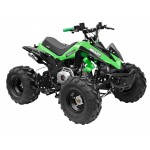 GMX 125cc The Beast Sports Quad Bike - Green GMX 125cc The Beast Sports Quad Bike - Green