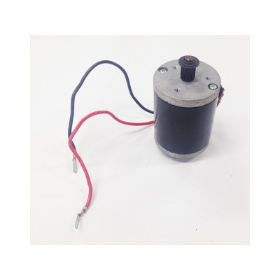Go Skitz 1.0 24V/100W  Scooter Motor 