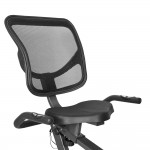 Lifespan RC-81 Recumbent Bike Lifespan RC-81 Recumbent Bike