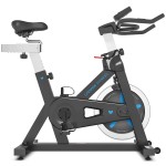 Lifespan SP-460 (M2) Spin Bike